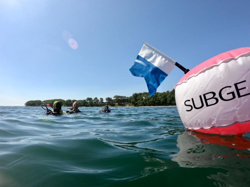 Dive Job Divemaster/ DM Trainee/ Instructor / Boat Guide for Summer 2022 wanted on Fehmarn 
