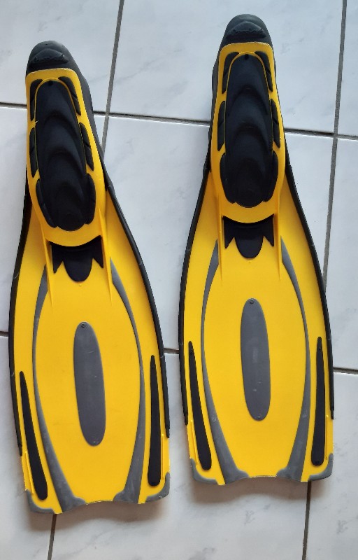 Basic Equipment Snorkel fins