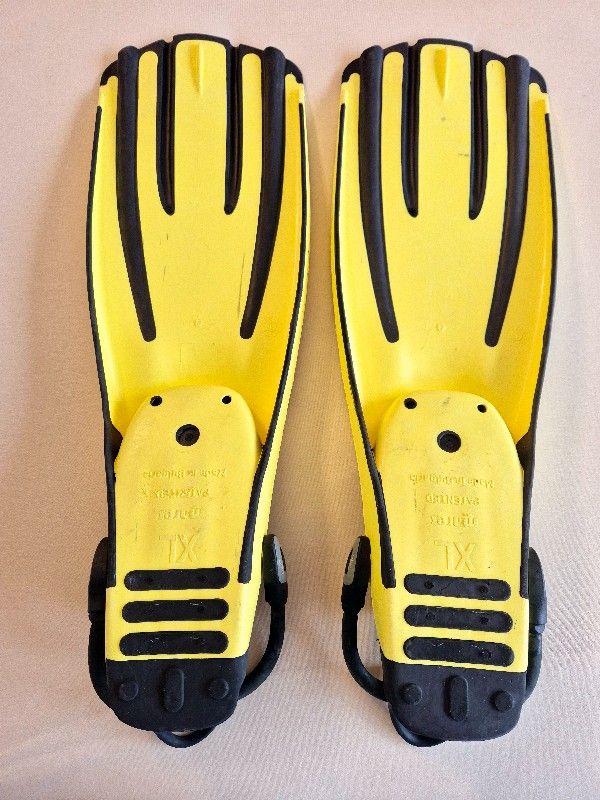 Basic Equipment Mares Avanti Quattro + Scuba Diving & Snorkel Fins in size XL, with Mares bungee straps