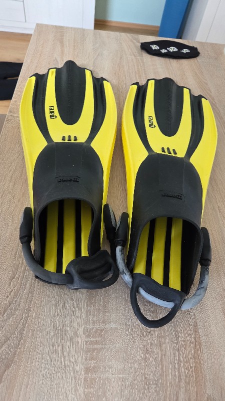 Dive Gear Initial equipment (suit, socks, shoes, gloves, fins, logbook) 