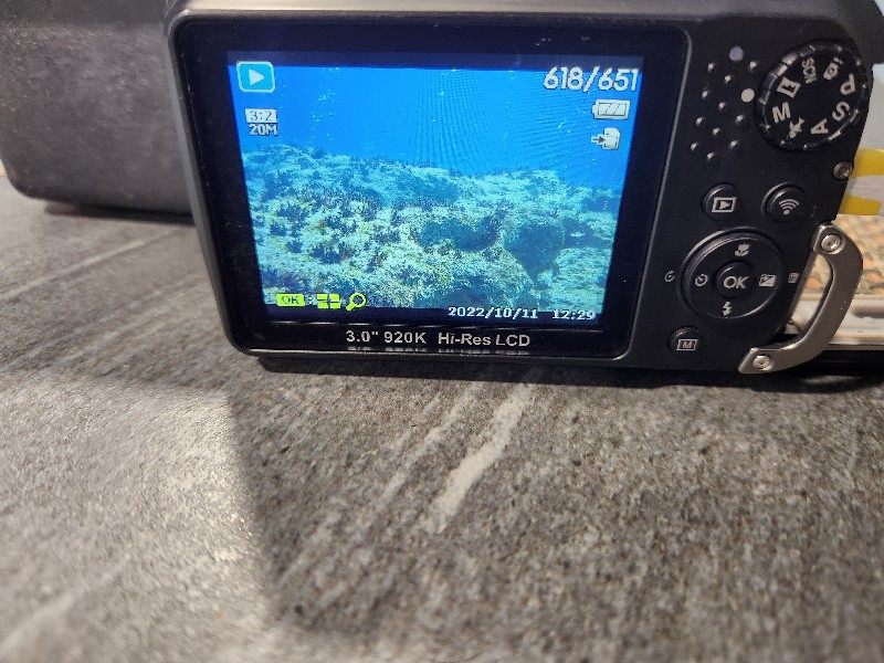 Dive Gear Underwater Camera Sealife DC2000
