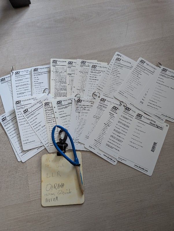 Miscellaneous SSI cue cards