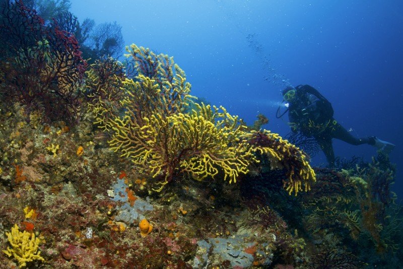 Firmenkauf Neue Möglichkeiten in Kroatien - Tauchbasis Najada