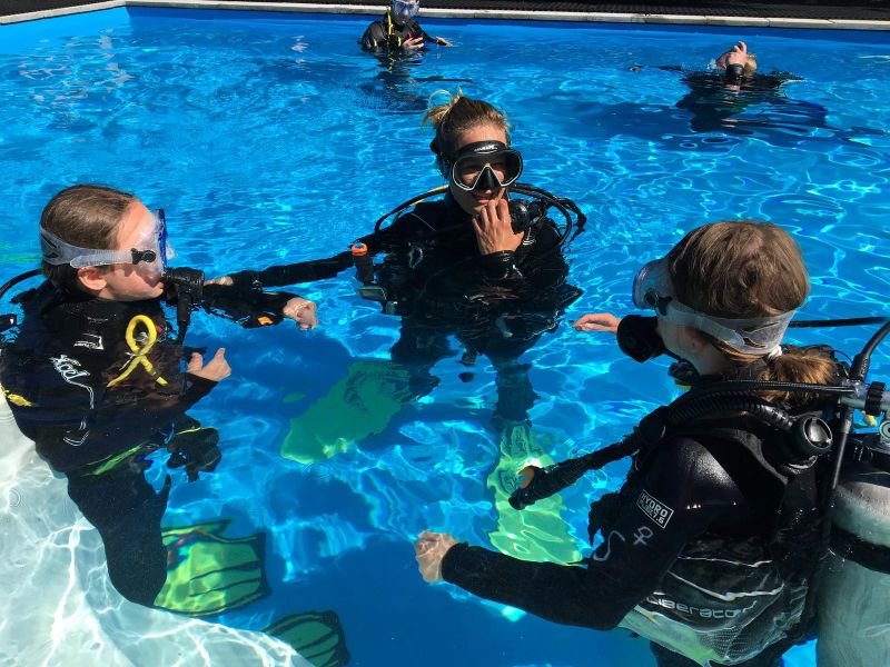 Dive Job Divemaster/ DM Trainee/ Instructor / Boat Guide for Summer 2022 wanted on Fehmarn 