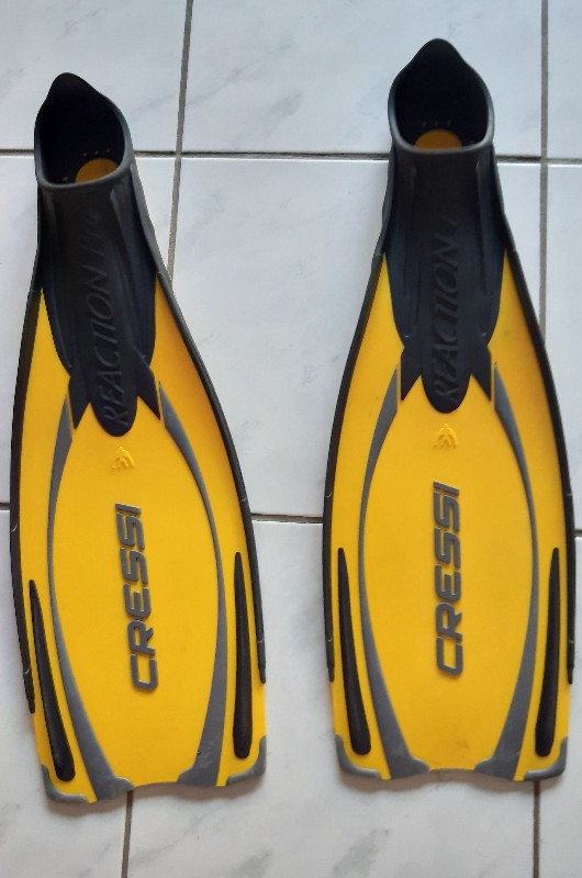Basic Equipment Snorkel fins