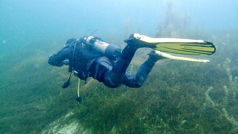 Dive Suit Waterproof D7X Nylontech Women's M / Dry Suit