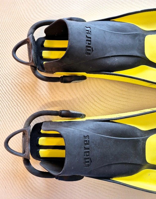 Basic Equipment Mares Avanti Quattro + Scuba Diving & Snorkel Fins in size XL, with Mares bungee straps