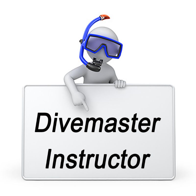 Dive Job Divemaster or Instructor wanted - also training against cooperation in Mainz