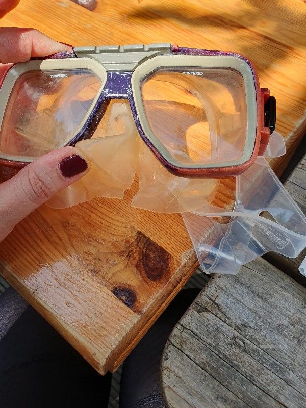 Basic Equipment Aqualung Hotlook Mask