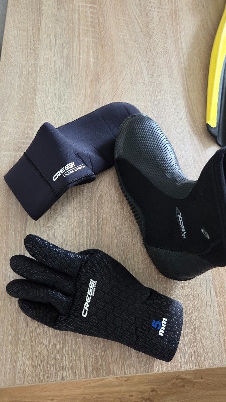 Dive Gear Initial equipment (suit, socks, shoes, gloves, fins, logbook) 